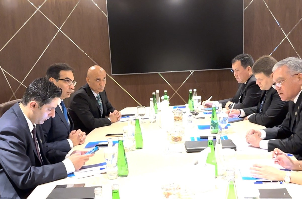 Turkmaniston delegatsiyasi Pokiston Energetika vaziri bilan uchrashdi