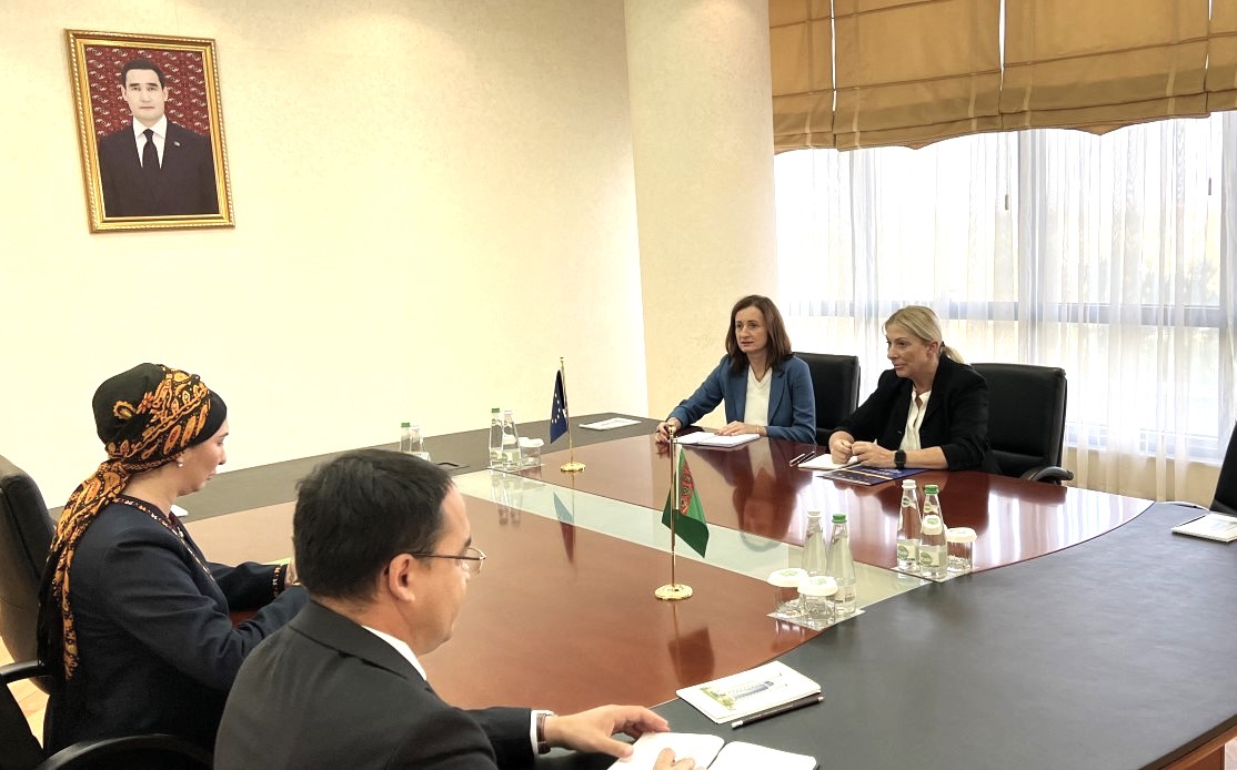 В МИД Туркменистана прошла встреча с Послом ЕС