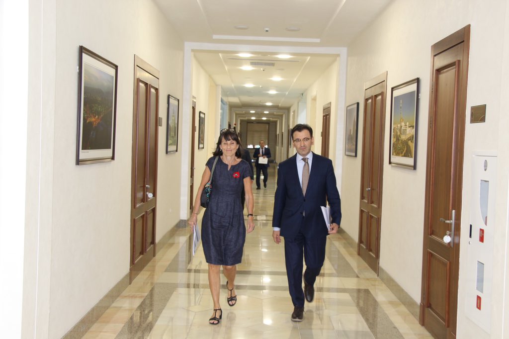 Директор МИЦА провел встречу с послом Европейского Союза
