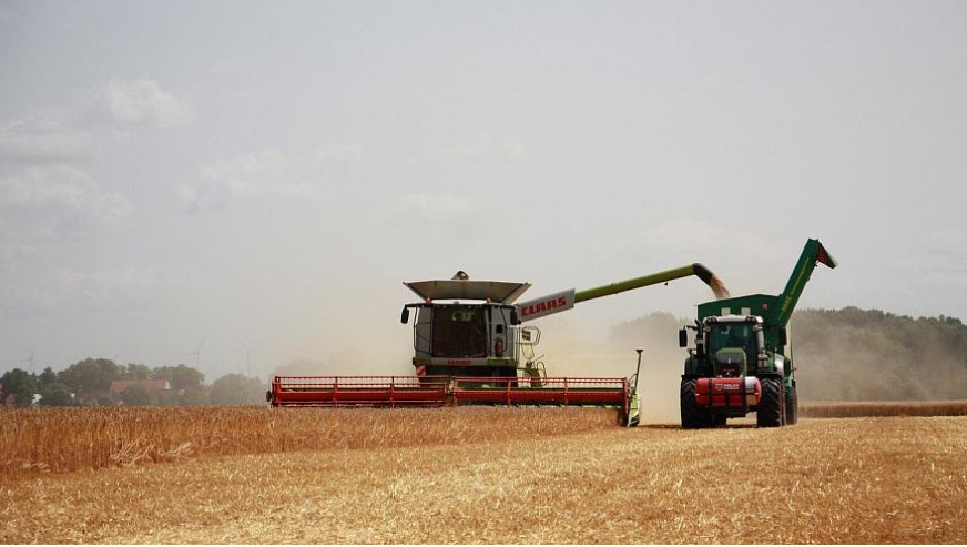 Спецкомиссию по запланированной на 2025 год сельхозпереписи создали в Казахстане