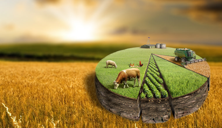 Пути достижения продовольственной безопасности в Центральной Азии – взгляд из Узбекистана