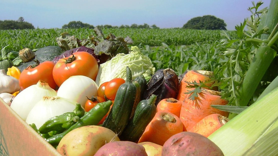 «Продовольственная безопасность в региональном измерении»