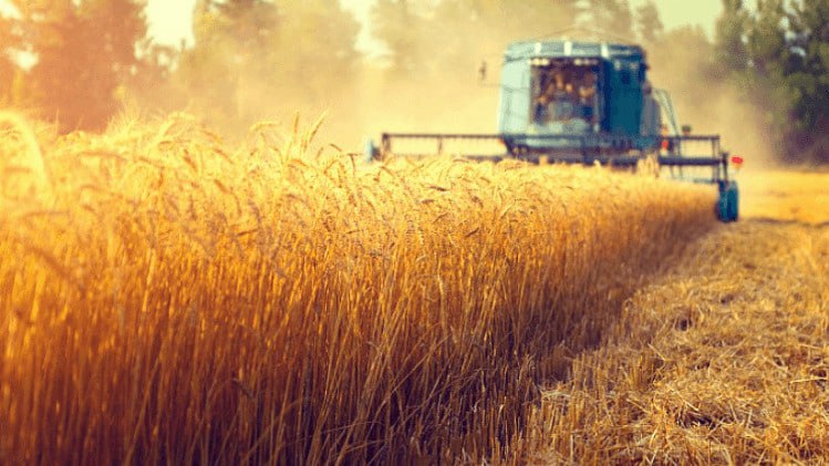 ВВП сельского хозяйства в январе 2024 года сложился в размере 11,7 млрд сомов