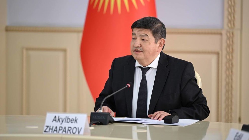 Считаю, что языки, которые не будут оцифрованы, исчезнут, - А.Жапаров