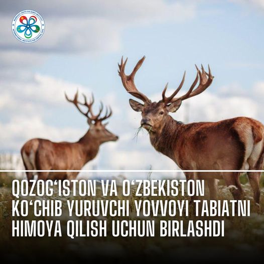Qozog‘iston va O‘zbekiston ko‘chib yuruvchi yovvoyi tabiatni himoya qilish uchun birlashdi