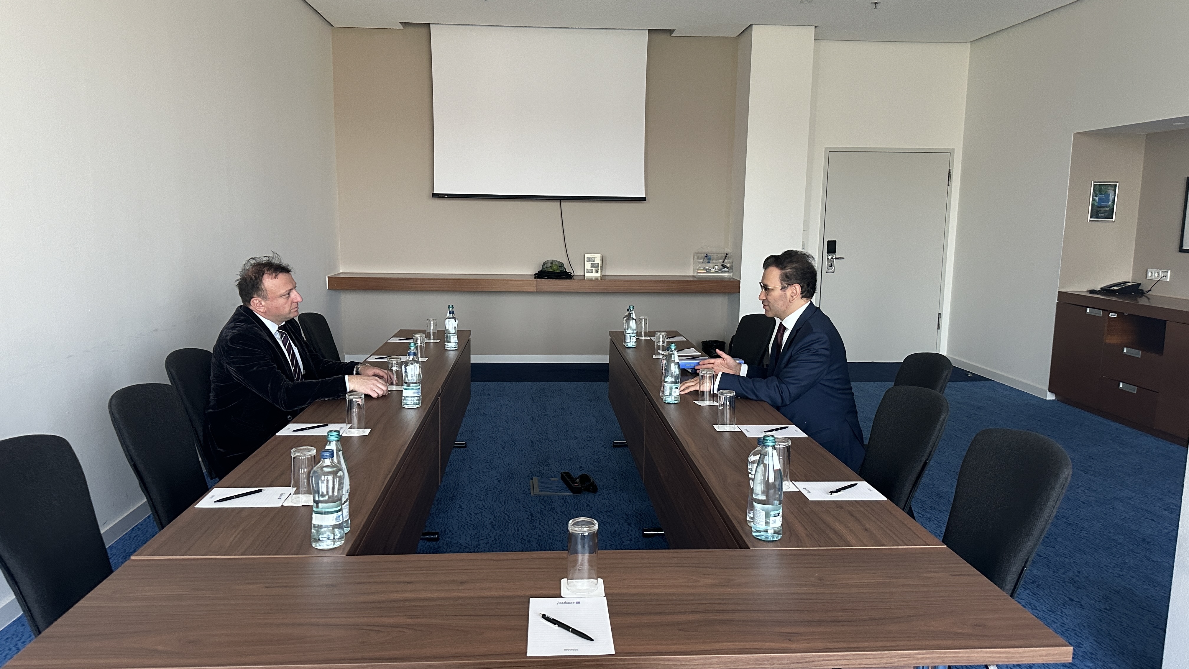 МИЦА и Бизнес-совет «Грузия – ЕС» обсудили научно-аналитическое сопровождение развития Срединного коридора